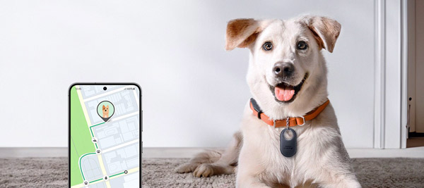 MTF Shop Samsung Klimaanlage Wärmepumpe Österreich | Sicherheit für Ihre Liebsten: Dank SmartThings Find und GPS-Trackern behalten Sie den Standort Ihres Haustiers immer direkt auf Ihrem Smartphone im Blick.